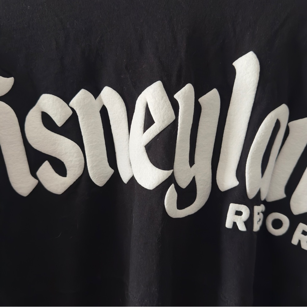 Disneyland spirit jersey - Picture 3 of 3